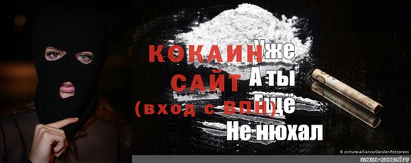 стафф Бронницы