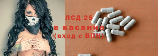 ГАЛЛЮЦИНОГЕННЫЕ ГРИБЫ Бородино