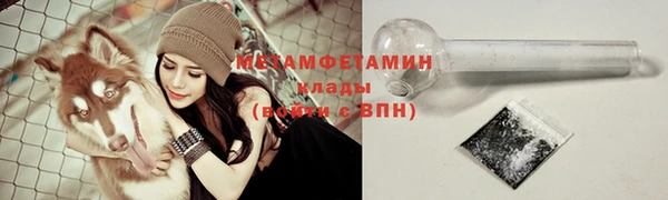 ГАЛЛЮЦИНОГЕННЫЕ ГРИБЫ Бородино